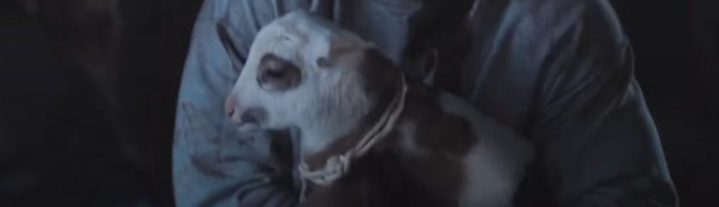 Skipper the lamb on Tales of the Walking Dead