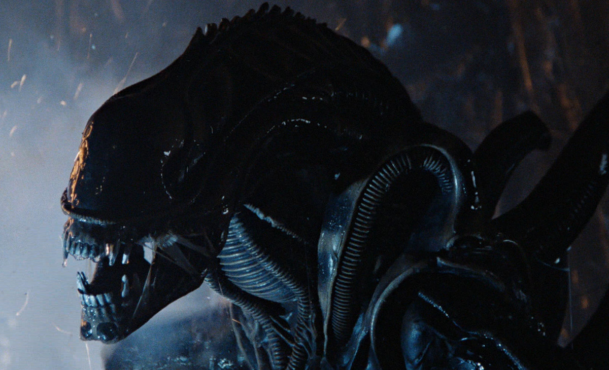 Should Disney reboot Alien vs. Predator?