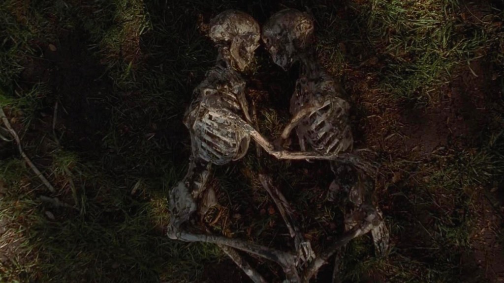The X-Files Field Trip