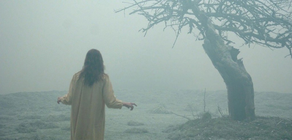 Tree in Exorcism of Emily Rose