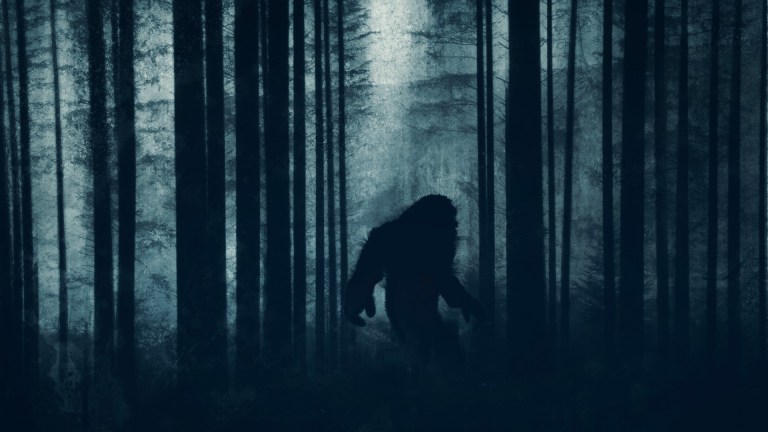 Bigfoot