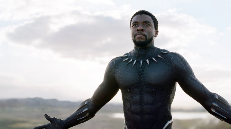 Chadwick Boseman in Black Panther