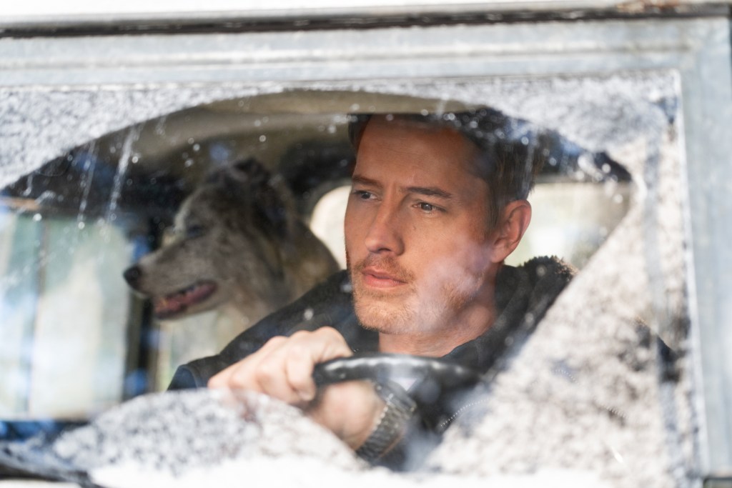 Justin Hartley and dog in The Noel Diary