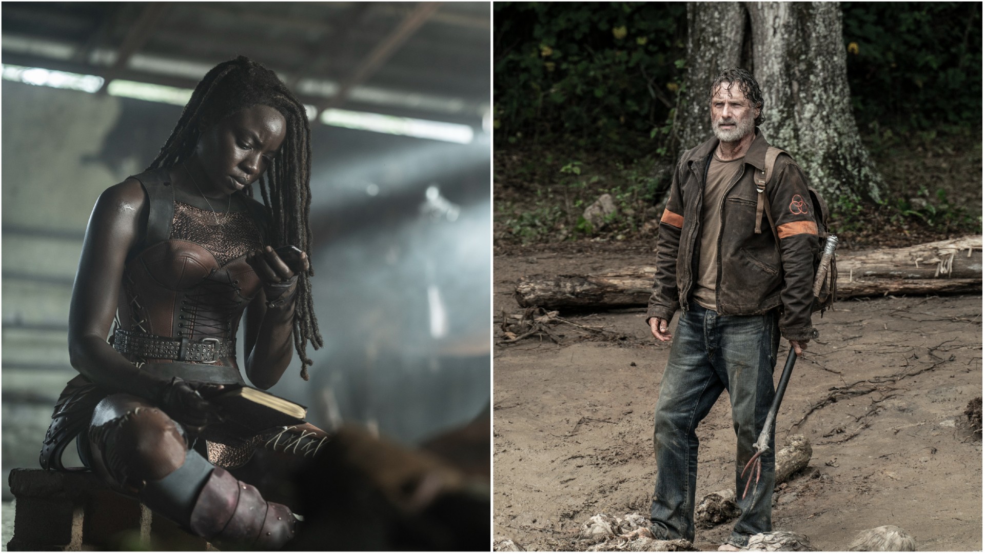 ophavsret Kig forbi kapacitet The Walking Dead Series Finale Ending Explained: How It Sets Up Rick and  Michonne's Return | Den of Geek