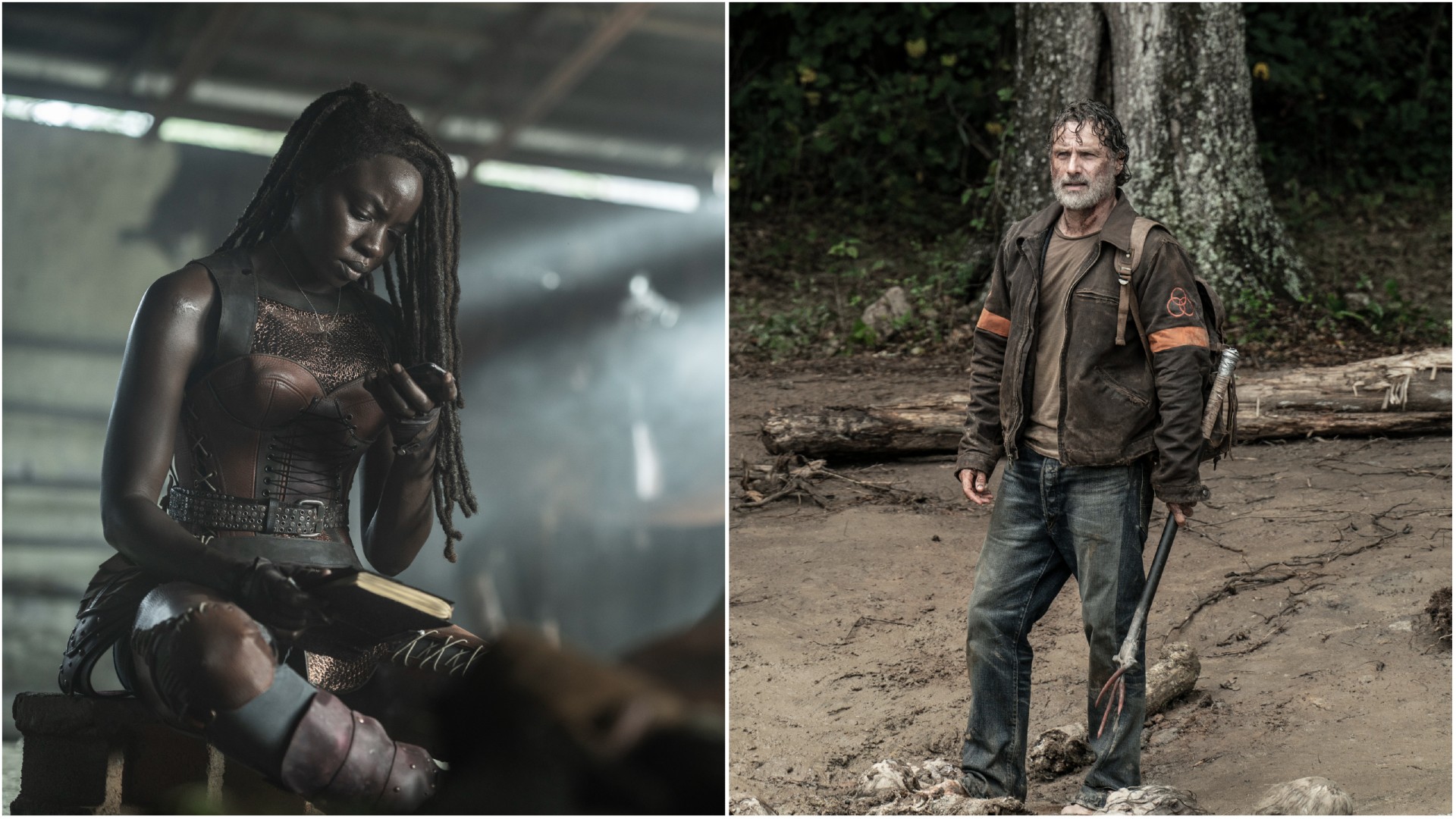 Walking Dead' is ending. Here are some zombie shows from around