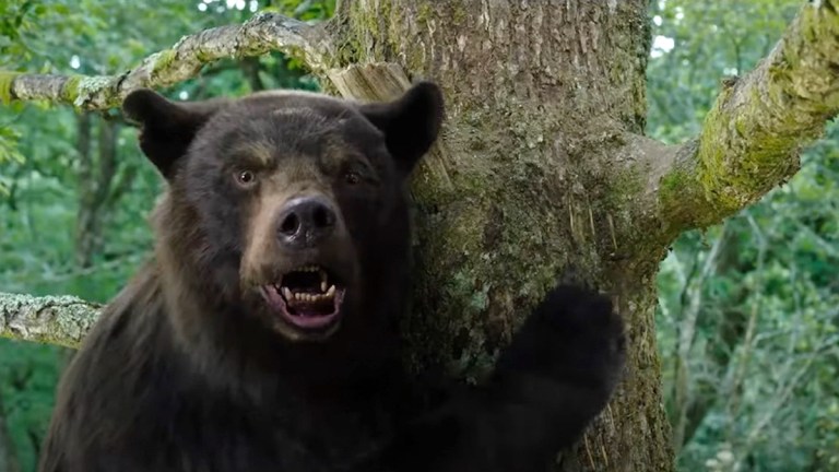 Cocaine Bear climbs a tree