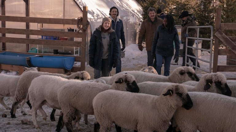 Bella Ramsey, Gabriel Luna, Pedro Pascal, and Rutina Wesley admire some sheep on The Last of Us Episode 6