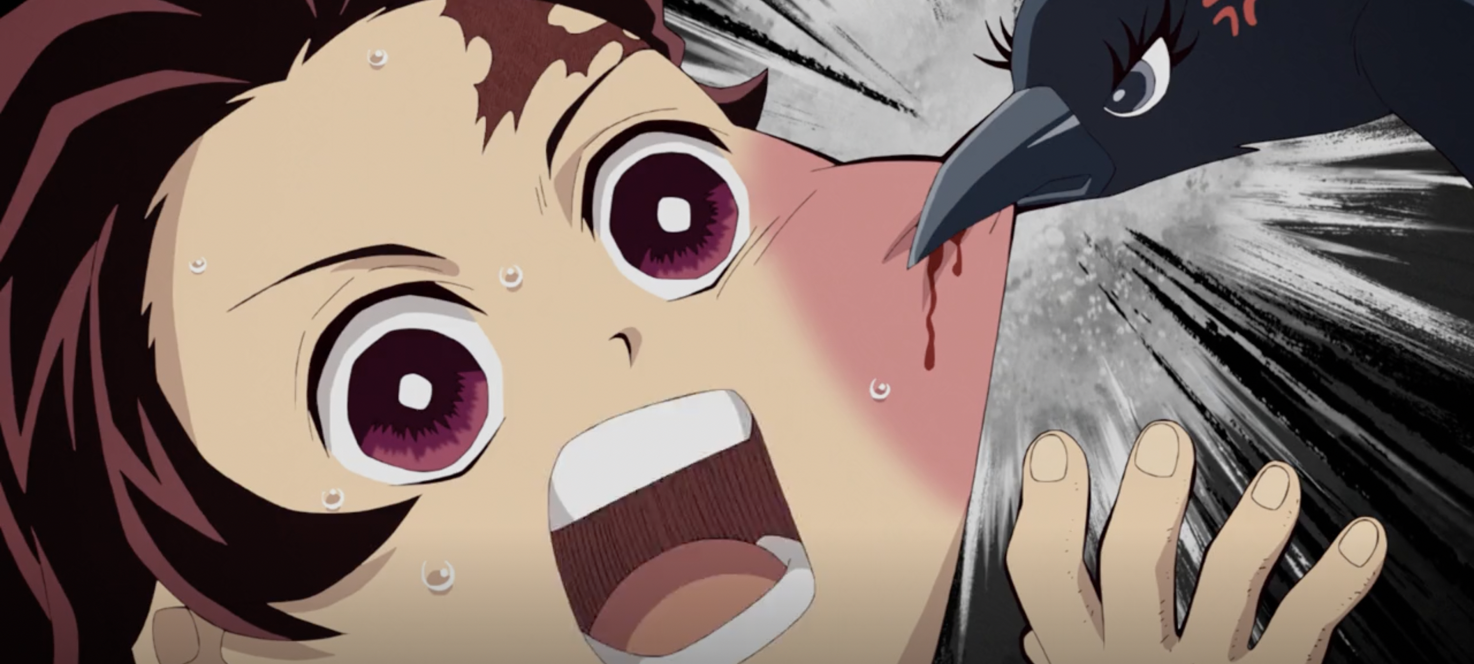 Demon Slayer: Kimetsu no Yaiba Season 1 Episode 2 Recap - Trainer