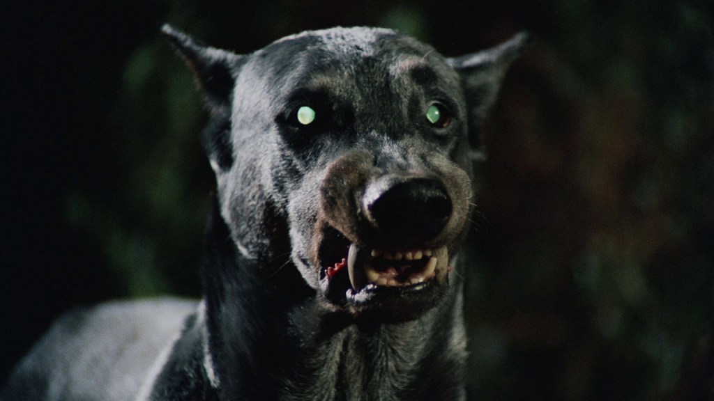 Un câine în câinele lui Dracula