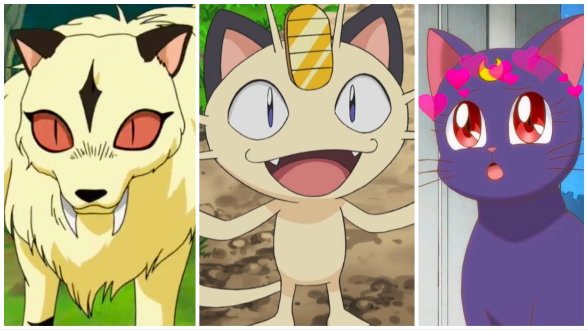 Top 50 Best Anime Cats Most Popular of All Time
