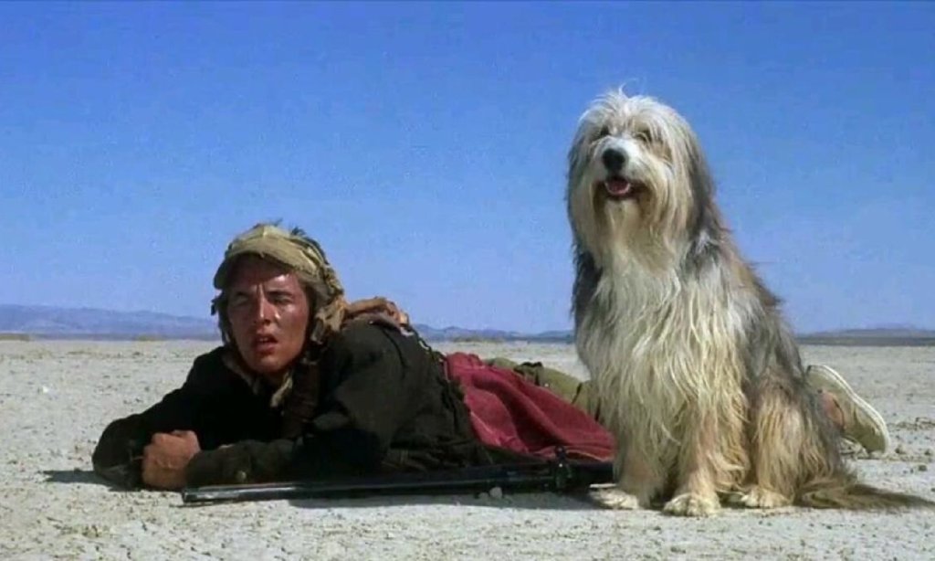 Don Johnson in A Boy and His Dog
