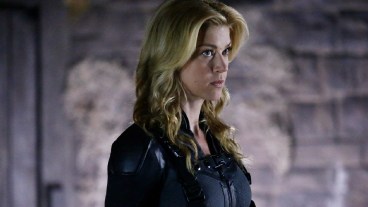 Adrianne Palicki as Bobbi Morse