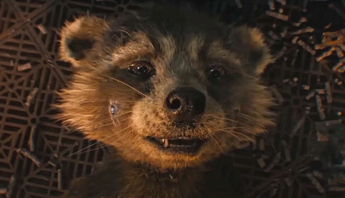 https://www.denofgeek.com/wp-content/uploads/2023/05/Rocket-Raccoon-in-Guardians-of-the-Galaxy-Vol-3-Review.jpeg