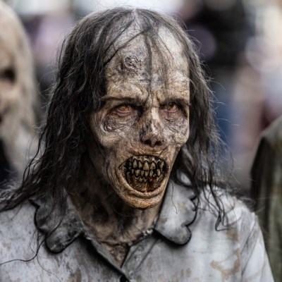 The Walking Dead Dead City Zombies