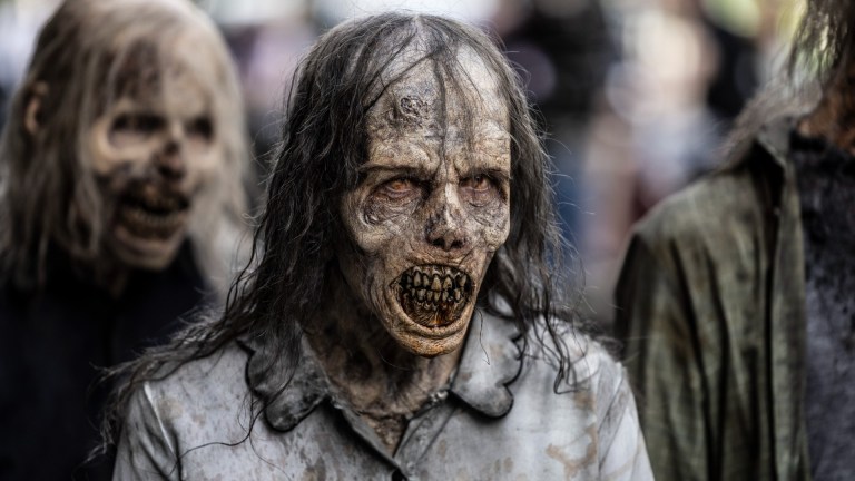 The Walking Dead Dead City Zombies