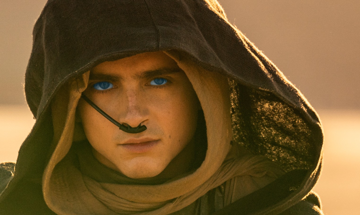 Dune: Part Two': Timothée Chalamet Shares First Photo As Paul Atreides