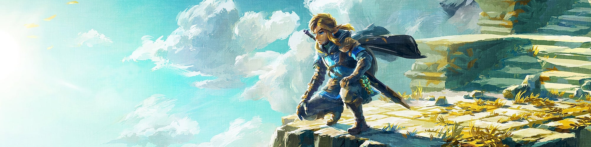 Zelda: Tears of the Kingdom Hero Banner