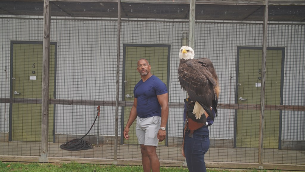 Christian Cooper admires Independence, Auburn's honorary War Eagle, before her pre-gameday flight practice. (National Geographic for Disney)