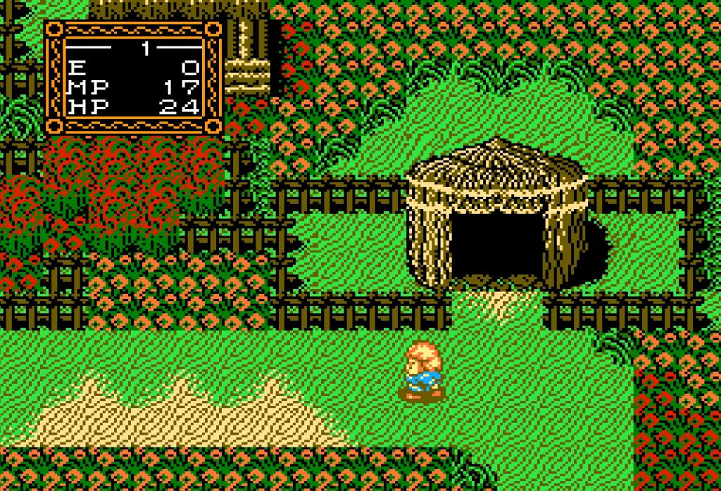 Willow NES
