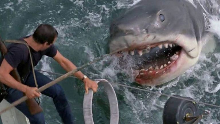 Brody and Shark in Jaws