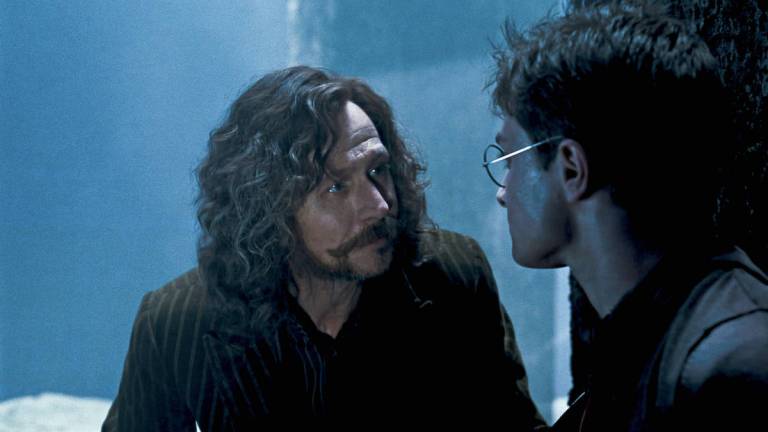 Gary Oldman as Sirius Black