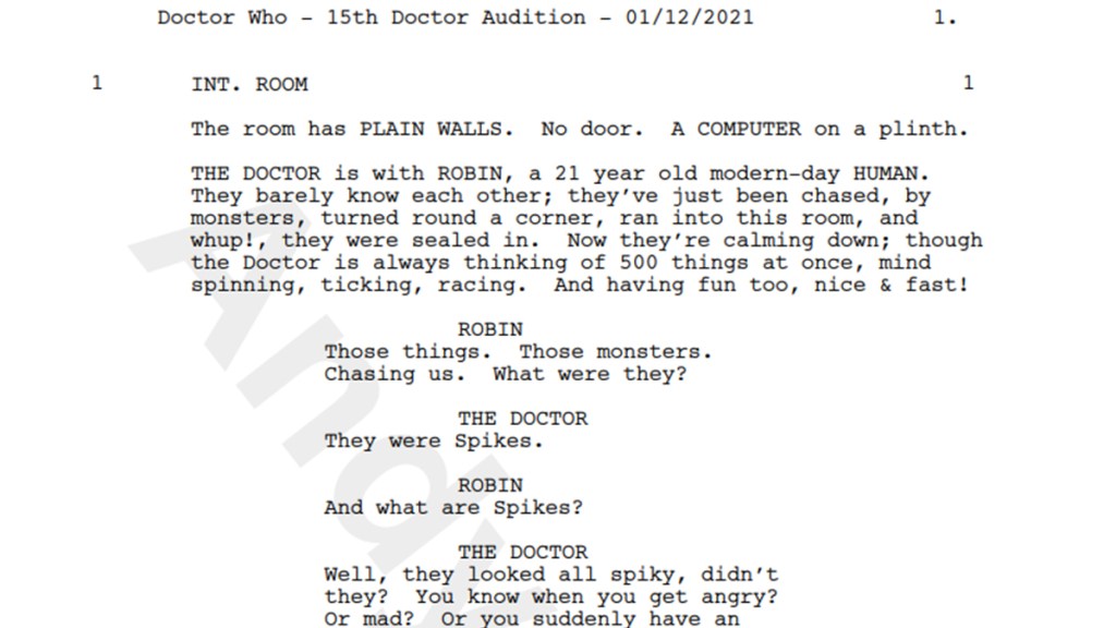 Doctor Who 15th Doctor audition script screengrab