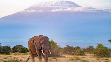 Queens National Geographic