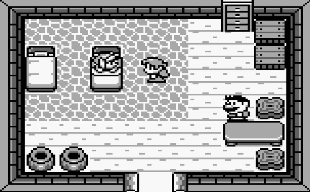 The Legend of Zelda: Link&rsquo;s Awakening (1993)