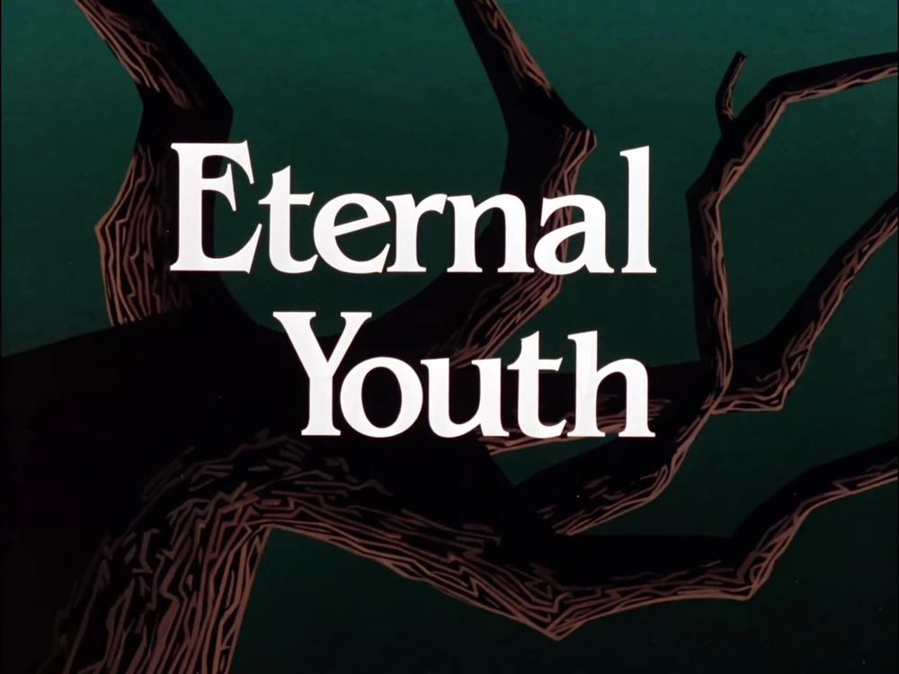 Batman The Animated Series - Eternal Youth