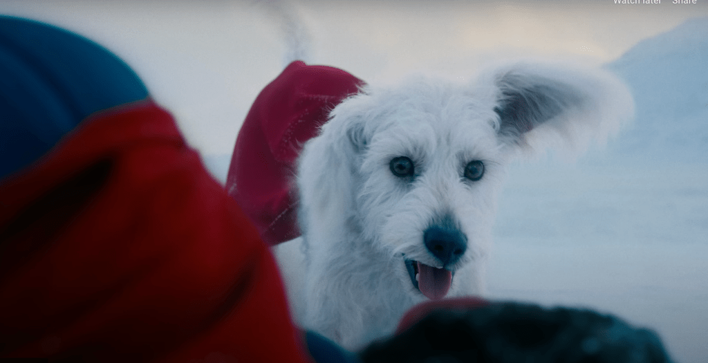 Krypto in Superman