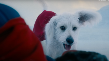 Krypto in Superman