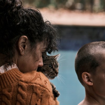 Sally Hawkins in Bring Her Back Review