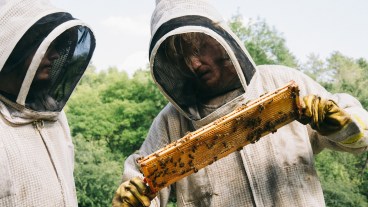 Bugonia Ending Explained