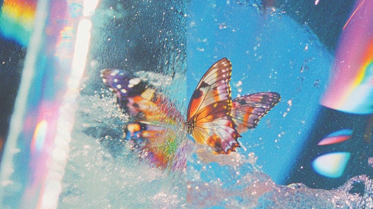 Daphni Butterfly album