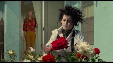 Johnny Depp examines some flowers in Edward Scissorhands.