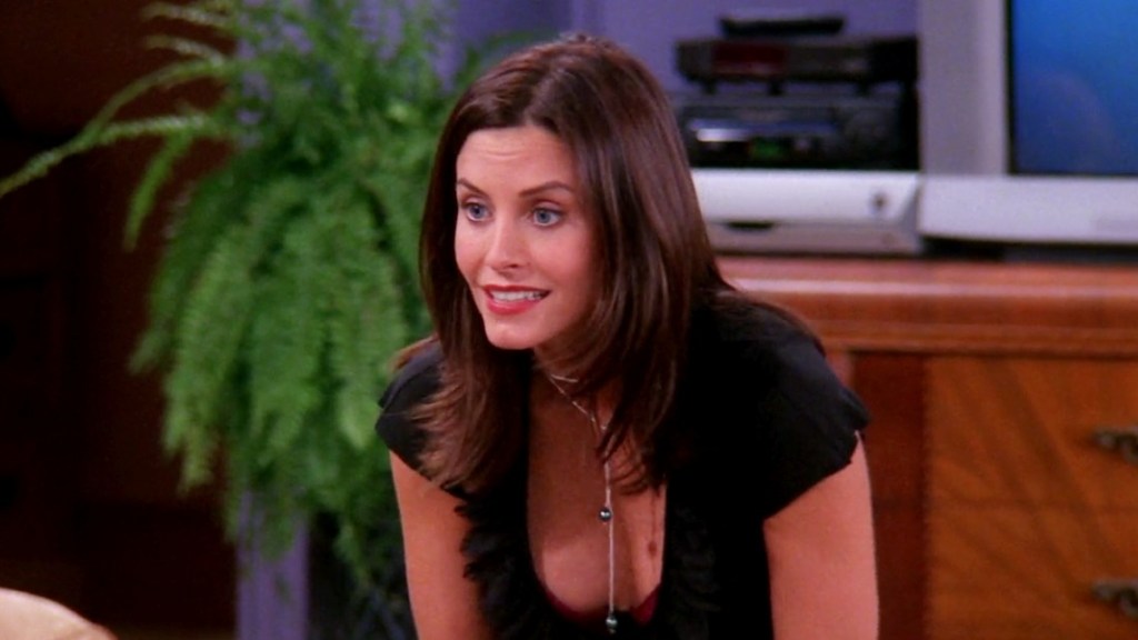 Monica Geller launched Cox to continued TV success and film appearances, including directing projects behind the camera.