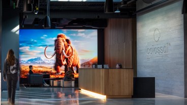 Colossal Woolly Mammoth ‘On Track for 2028’ as Perception Around De-Extinction Evolves