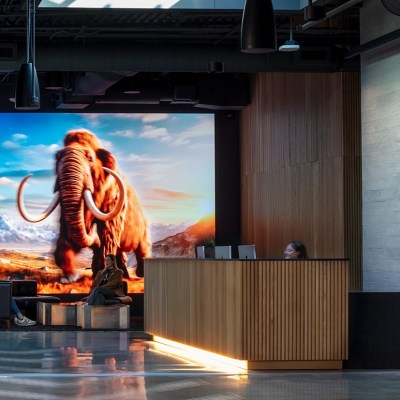 Colossal Woolly Mammoth ‘On Track for 2028’ as Perception Around De-Extinction Evolves