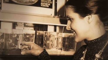 Amazing Live Sea Monkeys