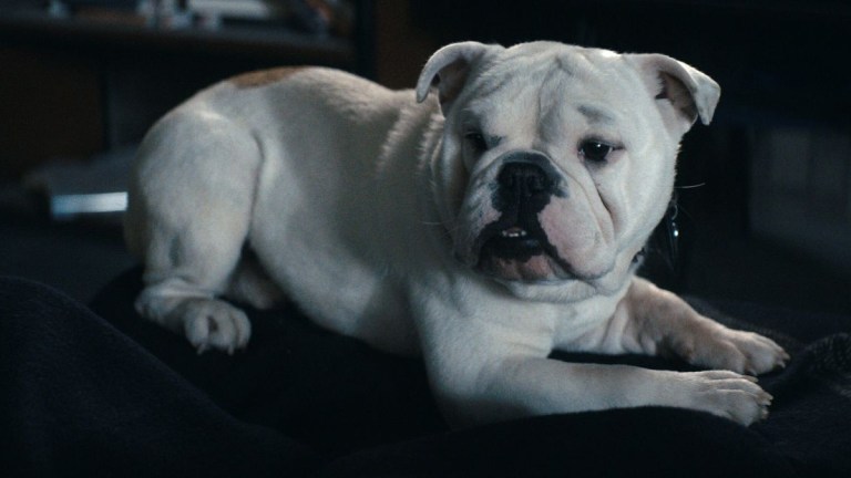 Terror in The Boys season 5