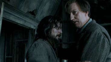 Sirius Black and Remus Lupin - Harry Potter
