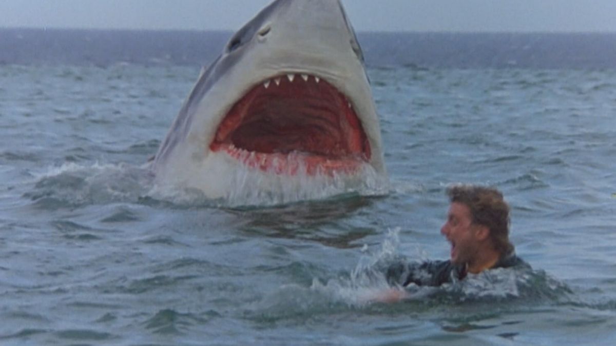 15 estafas de películas más extrañas que no sabías que existían 15 estafas de películas más extrañas que no sabías que existían