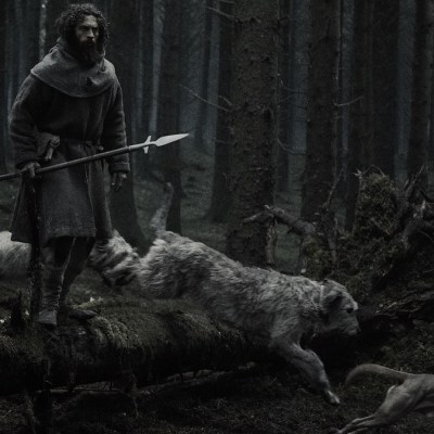 Aaron Taylor-Johnson Werwulf