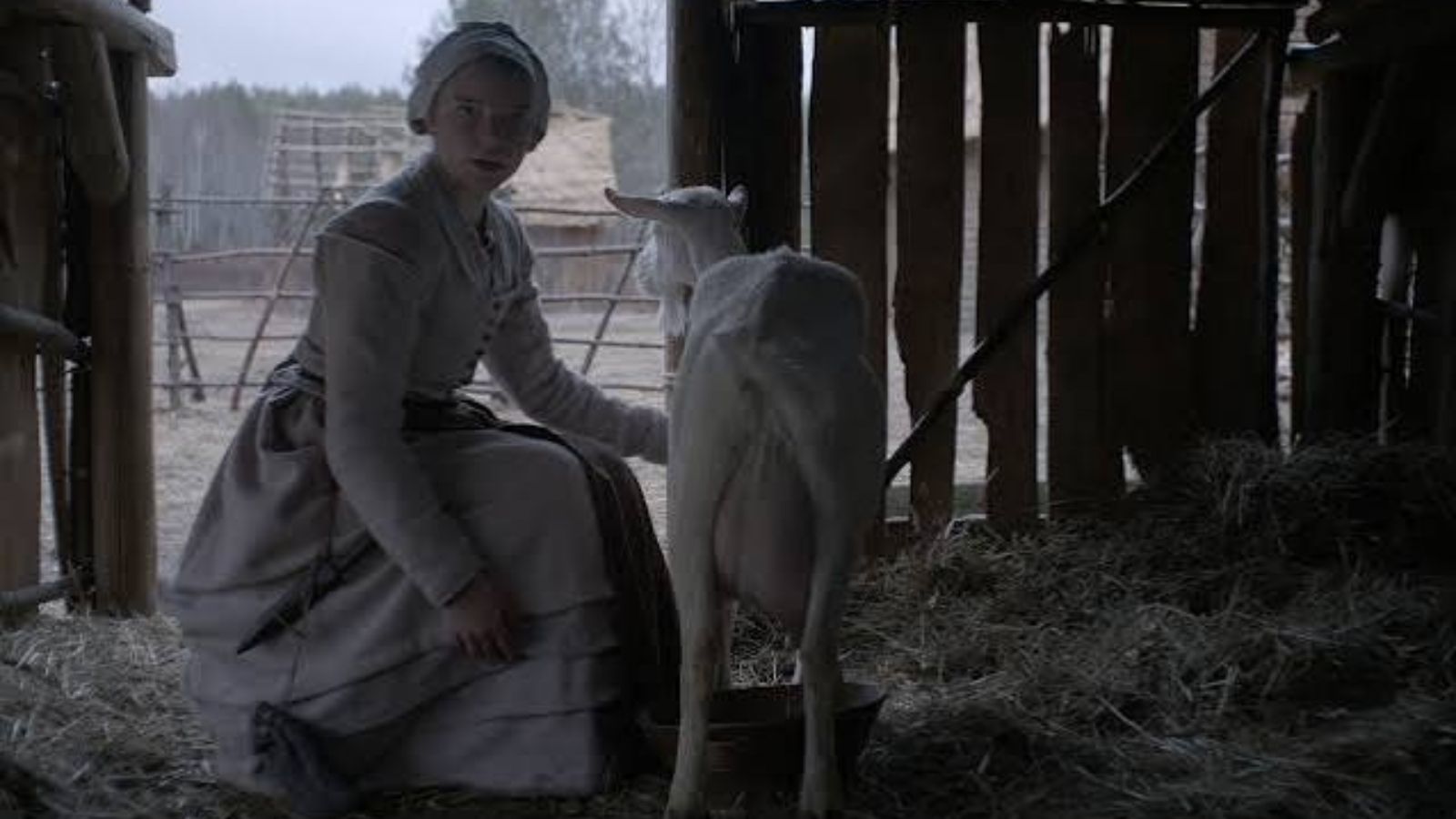 15 Movies That Didn’t Need an A-Lister to Be Great