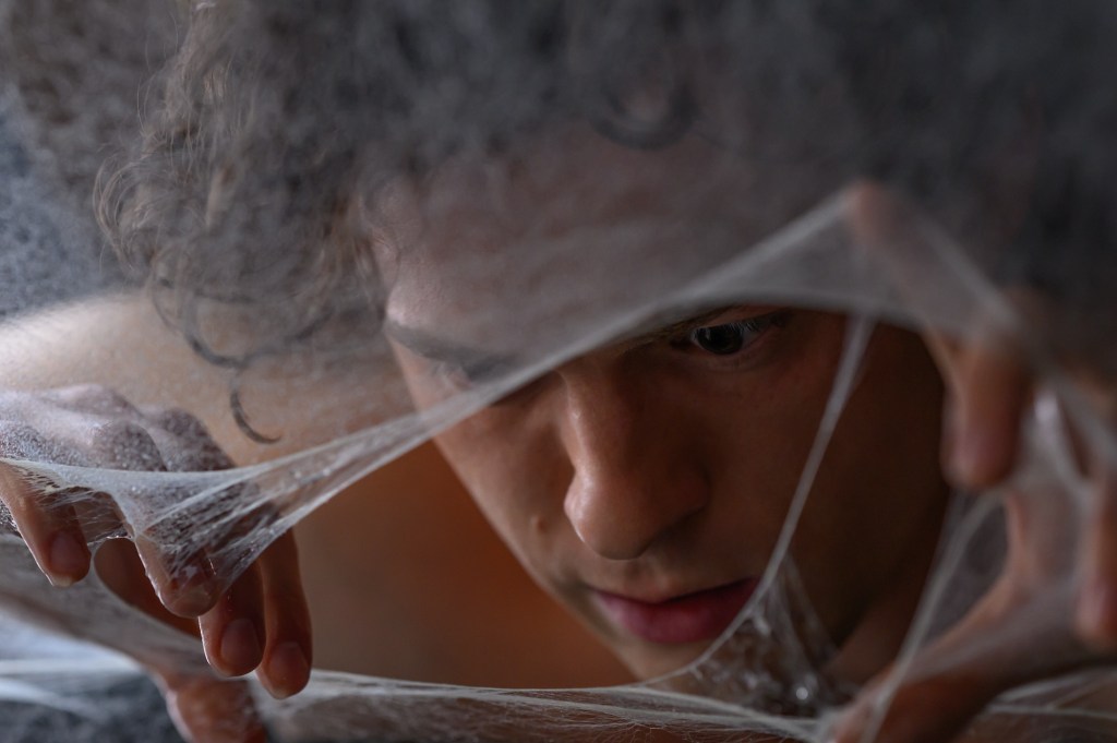 Tom Holland in Spider-Man Brand New Day