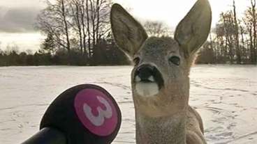 15 Photos We Can’t Really Explain, But They’re Entertaining None the Less