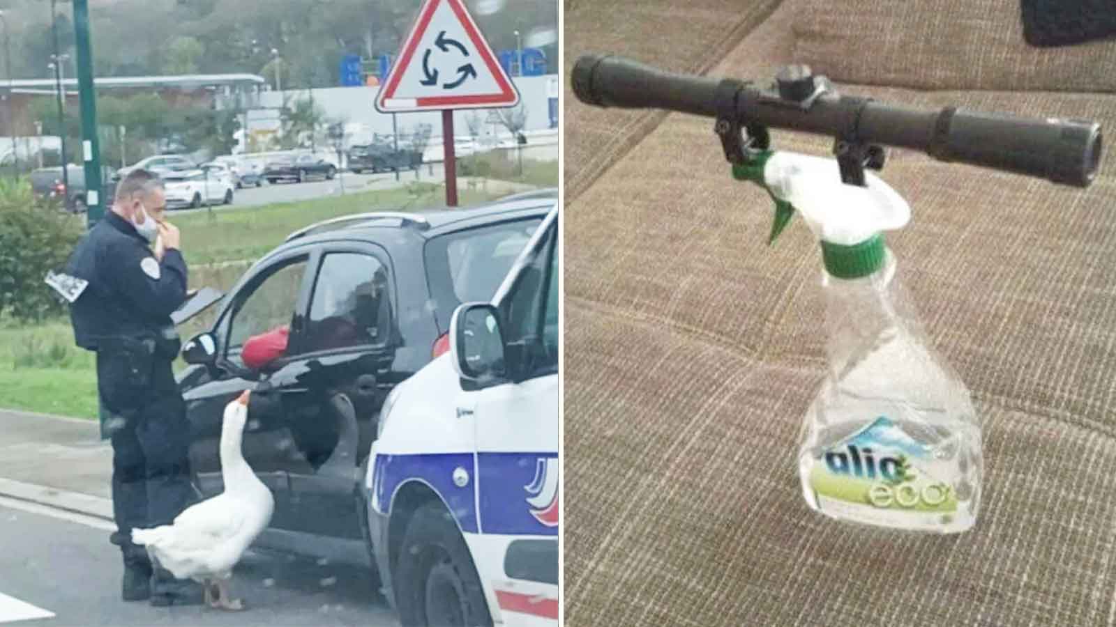 12 Chaotic Photos You Just Have to Accept at Face Value