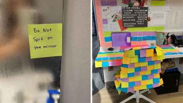 15 Times People Accidentally Created Something Brilliant