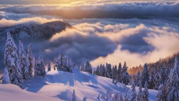 12 Photos Where the Natural World is On its Fullest Display