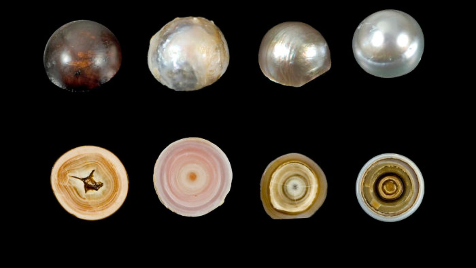 15 Photos of Things You Almost Never Get to See
